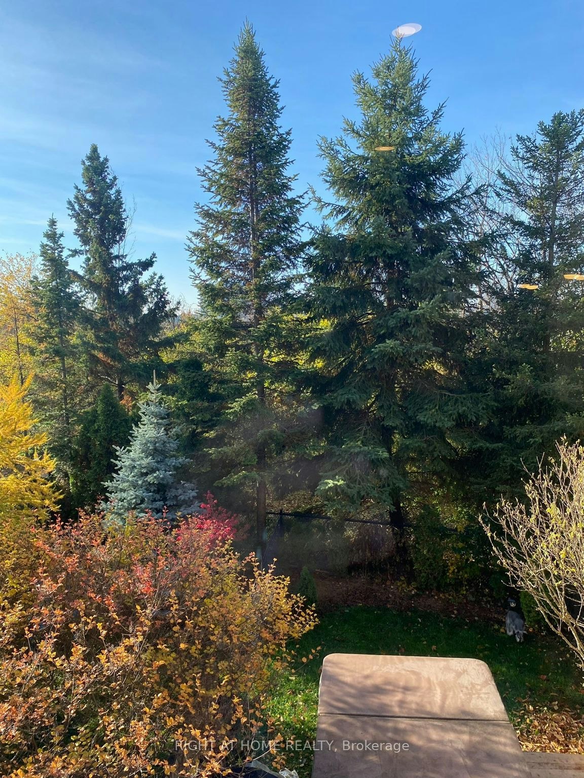 371 Fairgate Way, Oakville, ON, L6H 6Y1 - 24