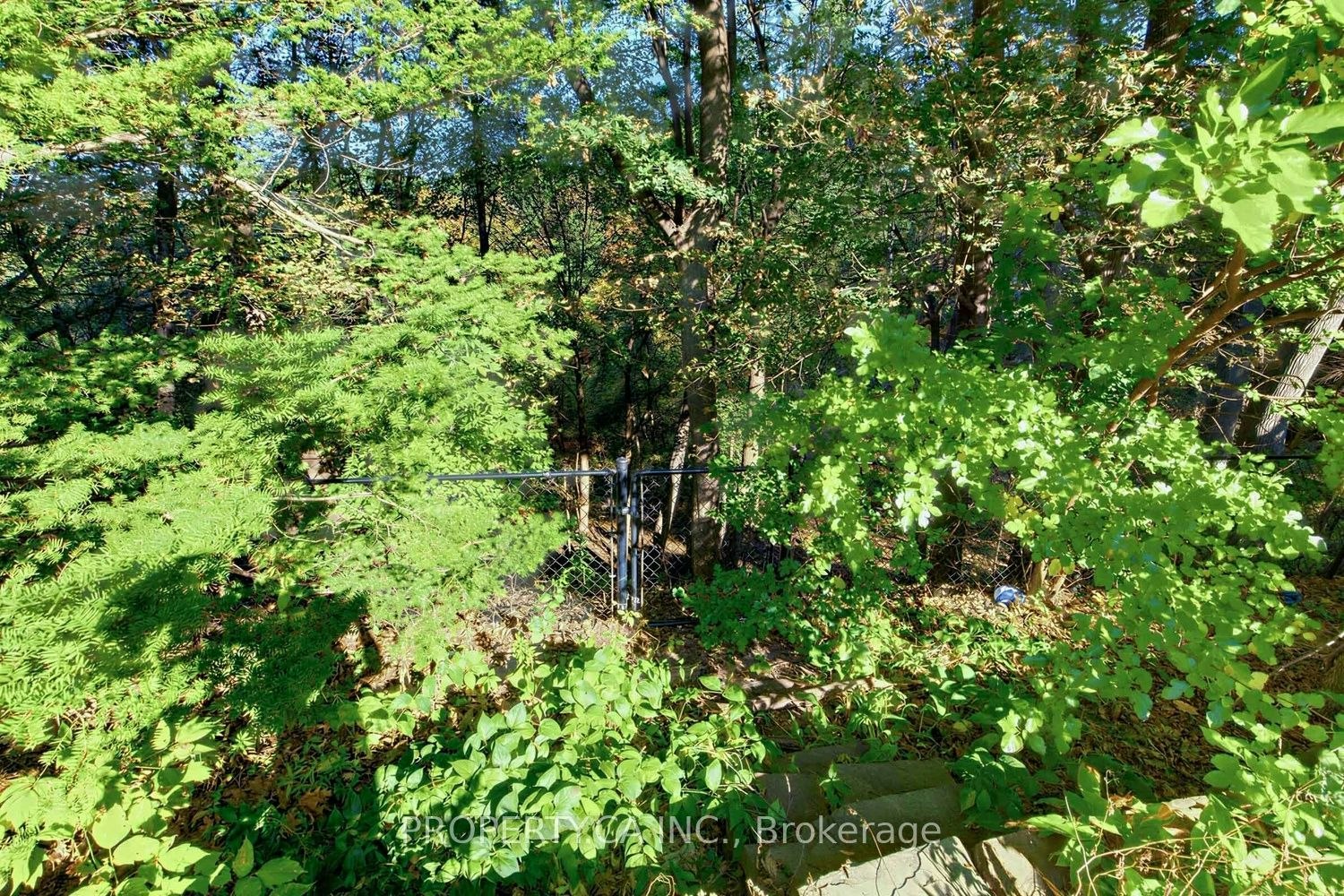 54 Baby Point Road, Toronto, ON, M6S 2G3 - 42