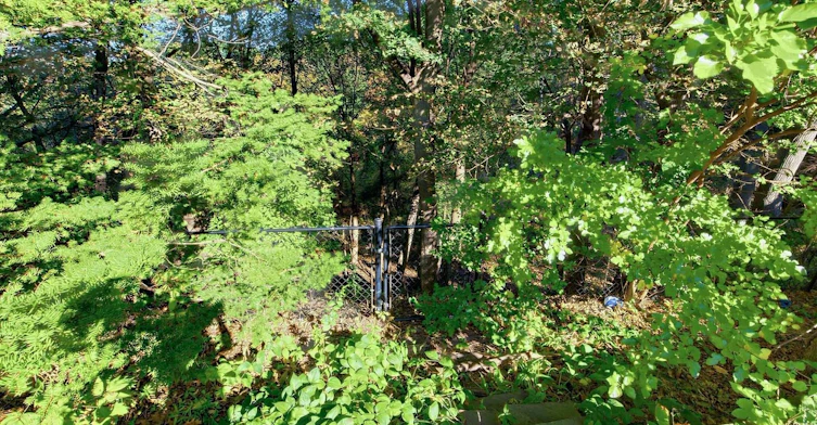 54 Baby Point Road, Toronto, ON, M6S 2G3 - 42