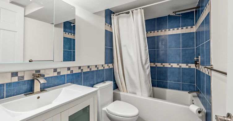 Lower-246 Ellis Avenue, Toronto, ON, M6S 2X2 - 4
