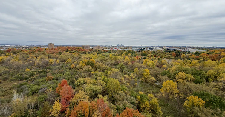 1630-700 Humberwood Boulevard, Toronto, ON, M9W 7J4 - 18