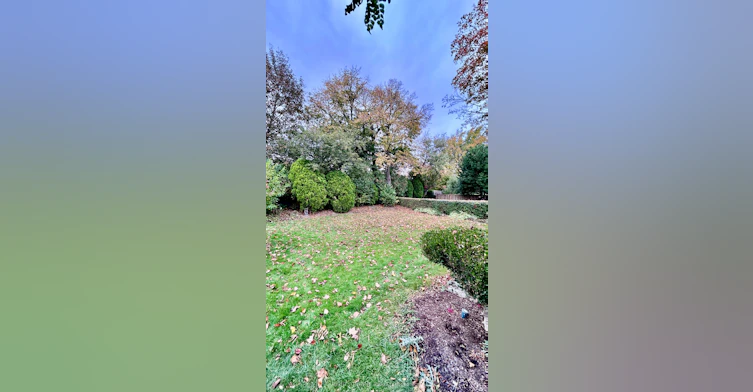 575 Eversley Drive, Mississauga, ON, L5A 2E1 - 2