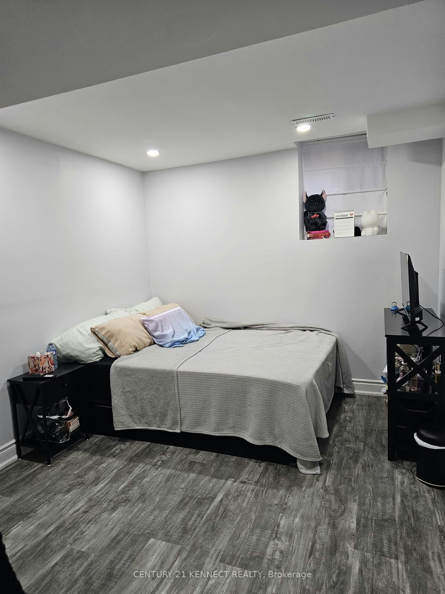Bsmt-51 Cassander Crescent, Brampton, ON, L6Z 1Z5 - 3