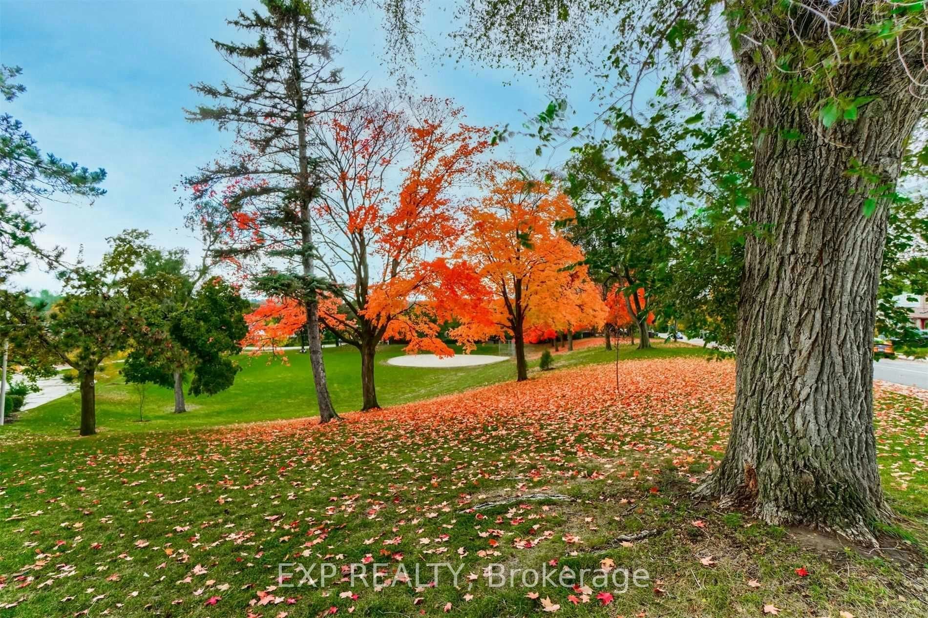 Lower-5 Brendwin Road, Toronto, ON, M6N 4V6 - 14