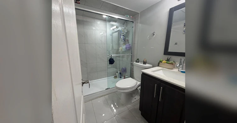 Basement-409 Hincks Drive, Milton, ON, L9T 6J4 - 11
