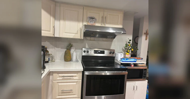 Basement-409 Hincks Drive, Milton, ON, L9T 6J4 - 4