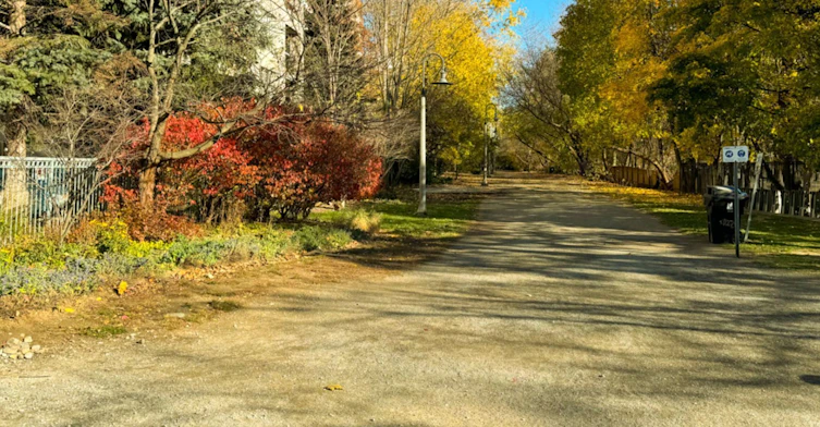 Lower-166 Schell Avenue, Toronto, ON, M6E 2T1 - 18