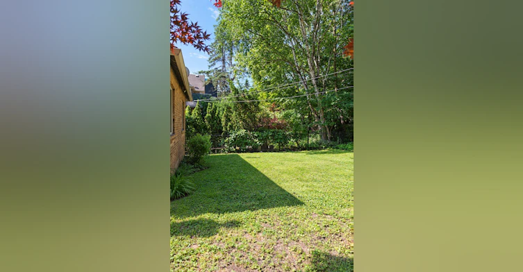 82 Ellis Park Road, Toronto, ON, M6S 2V5 - 19