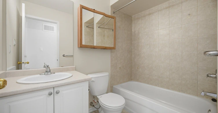 1323 Menefy Place, Milton, ON, L9T 7E2 - 43
