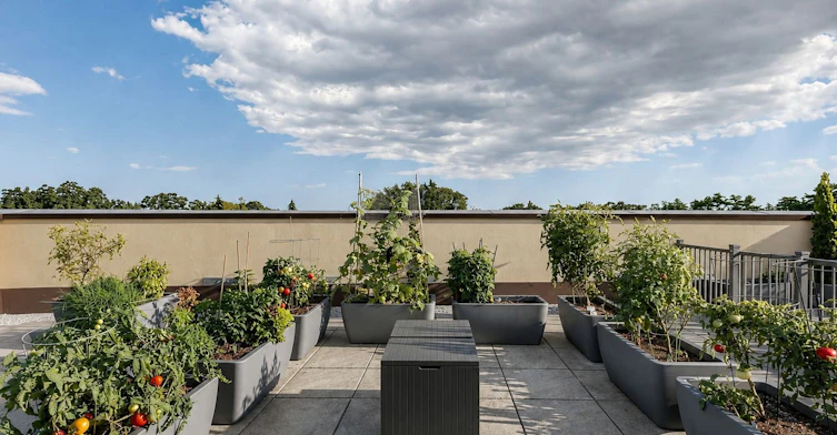 201-205 Lakeshore Road W, Oakville, ON, L6K 0H8 - 47