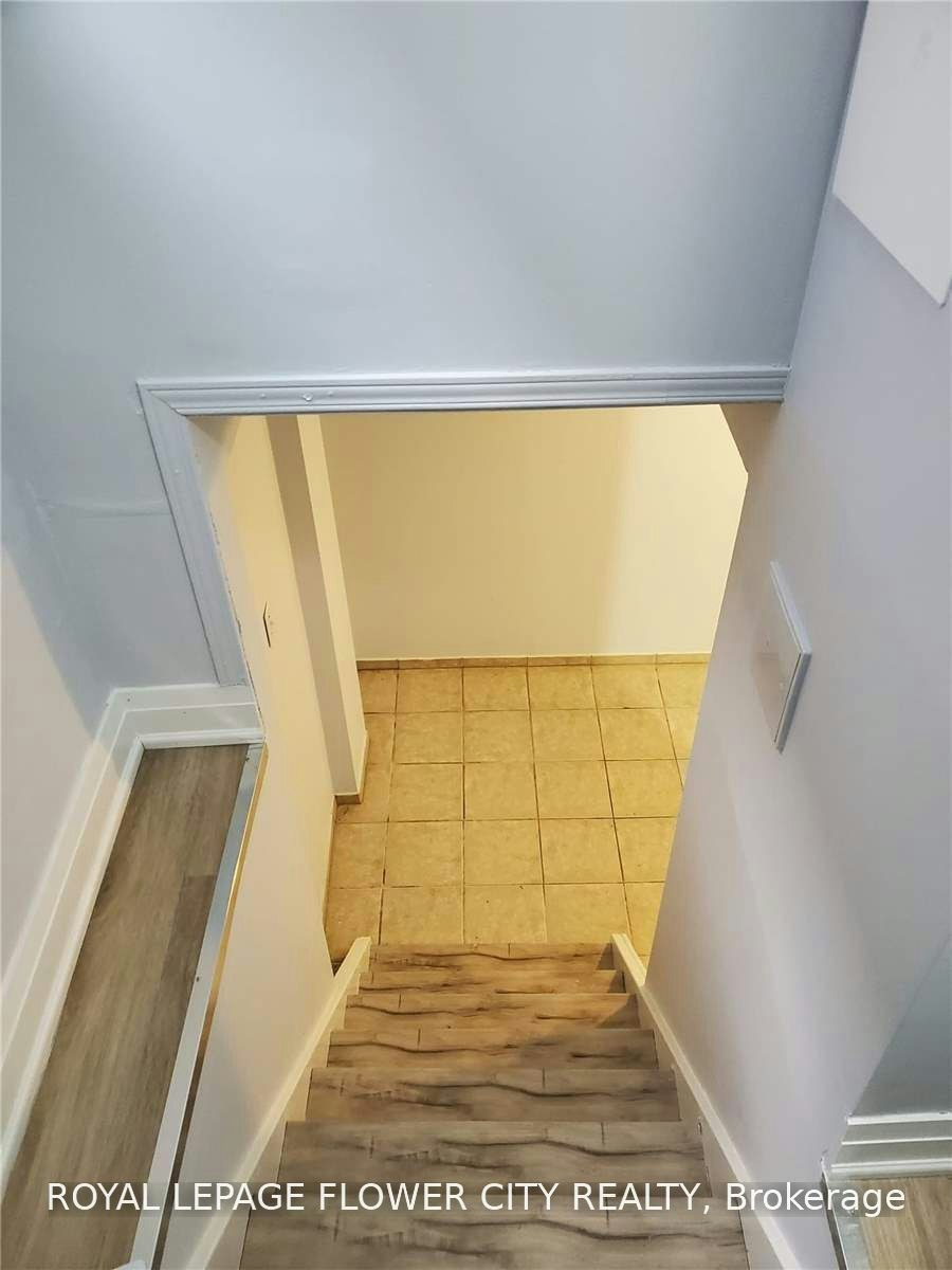 Basement-859 Drysdale Drive, Mississauga, ON, L5V 1X5 - 3