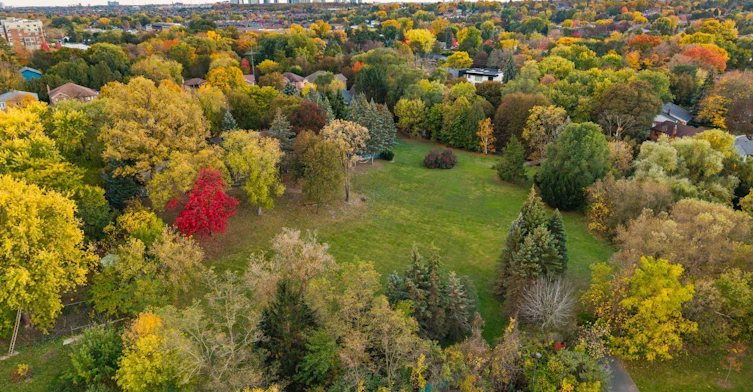 58 Rutledge Road, Mississauga, ON, L5M 1H4 - 33