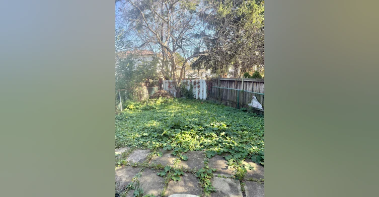 Lower-2668 Windjammer Road, Mississauga, ON, L5L 1T5 - 23