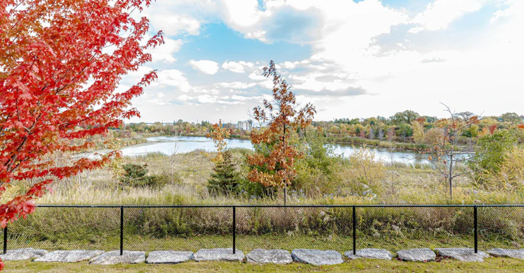 72-1 Beckenrose Court, Brampton, ON, L6Y 6G2 - 46