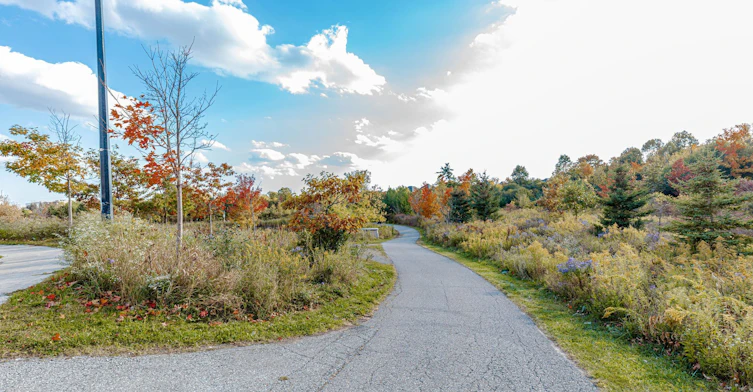 72-1 Beckenrose Court, Brampton, ON, L6Y 6G2 - 50