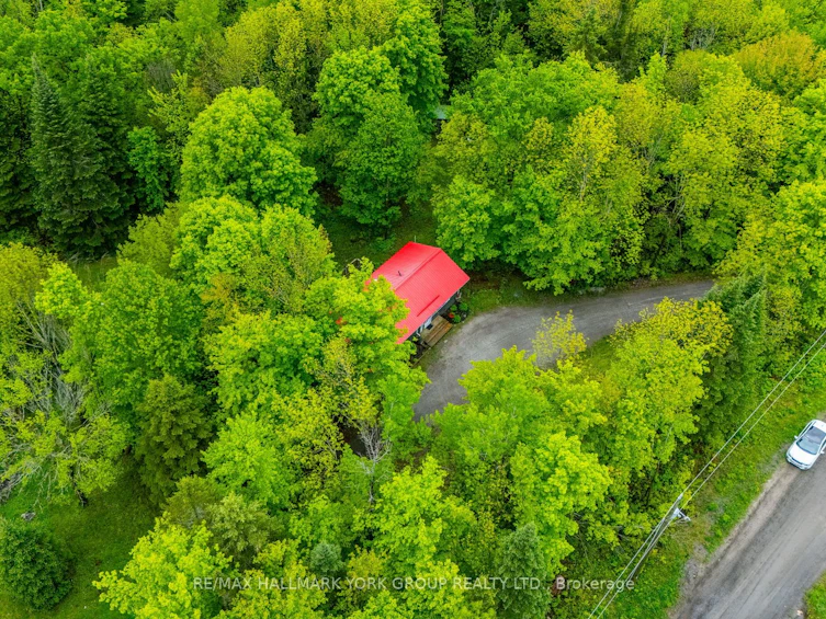 1664 Minnicock Lake Road, Highlands East, ON, K0M 1S0 - 43