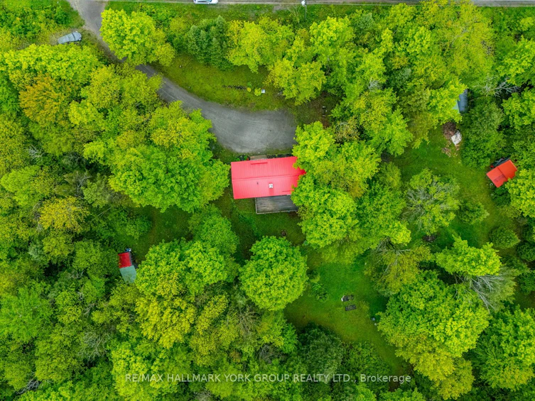 1664 Minnicock Lake Road, Highlands East, ON, K0M 1S0 - 47