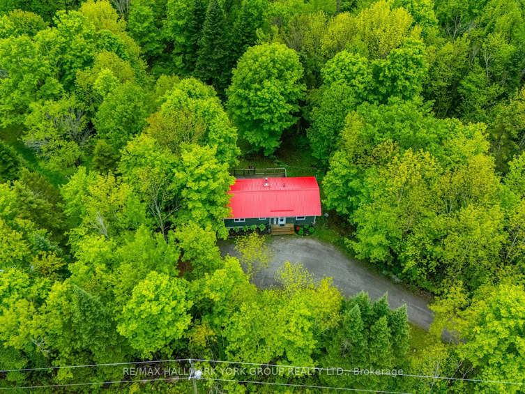 1664 Minnicock Lake Road, Highlands East, ON, K0M 1S0 - 42