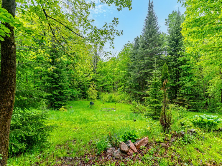 1664 Minnicock Lake Road, Highlands East, ON, K0M 1S0 - 40