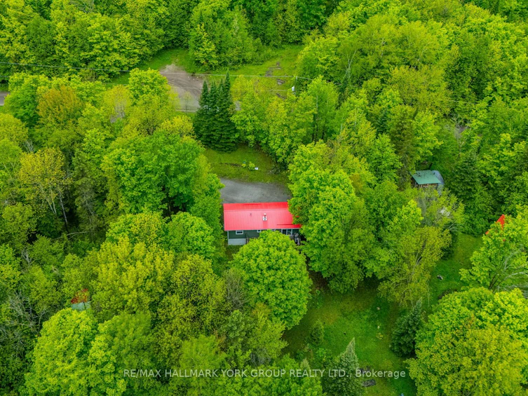 1664 Minnicock Lake Road, Highlands East, ON, K0M 1S0 - 45