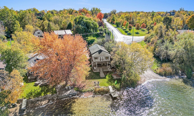 1 Mcgill Drive