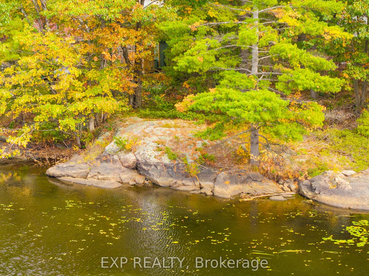 1144 South Morrison Lake Road, Gravenhurst, ON, P0E 1G0 - 17