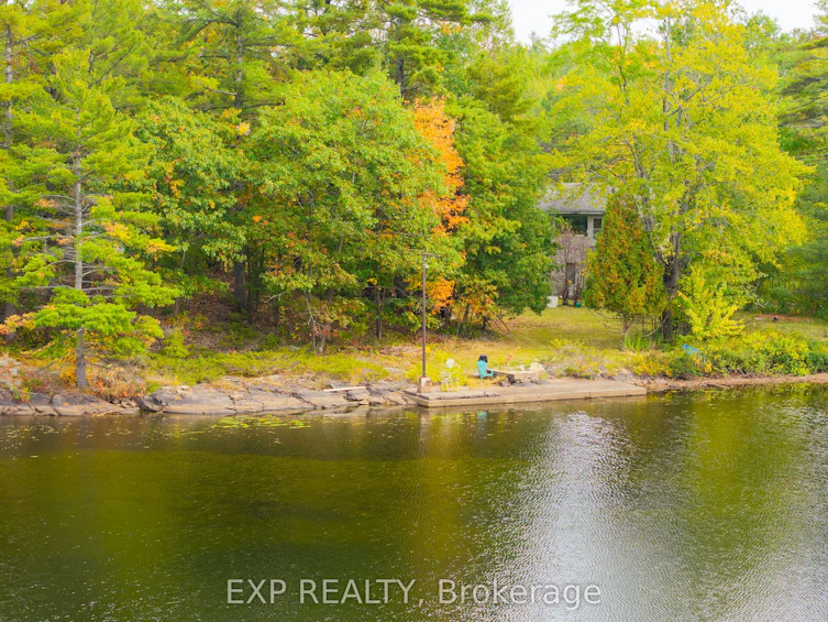 1144 South Morrison Lake Road, Gravenhurst, ON, P0E 1G0 - 19