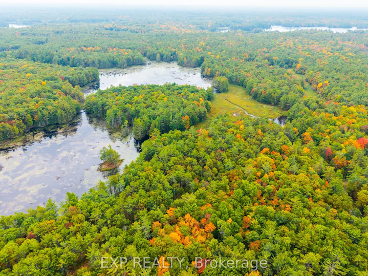 1144 A South Lake Morrison Road, Gravenhurst, ON, P0E 1G0 - 4
