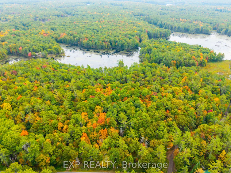 1144 A South Lake Morrison Road, Gravenhurst, ON, P0E 1G0 - 2