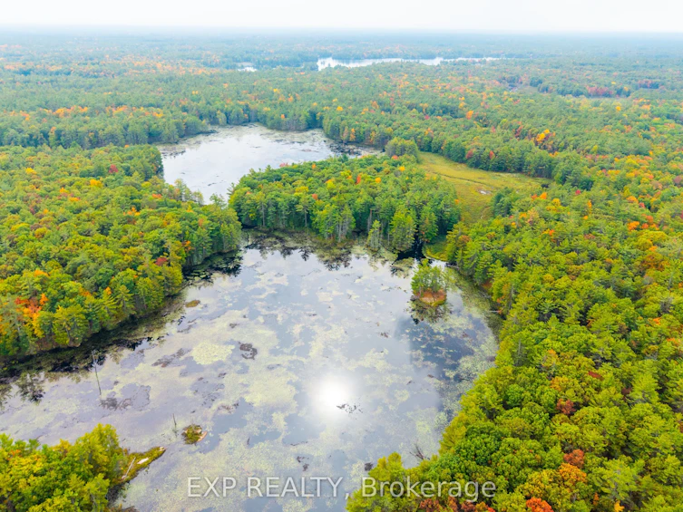 1144 A South Lake Morrison Road, Gravenhurst, ON, P0E 1G0 - 6