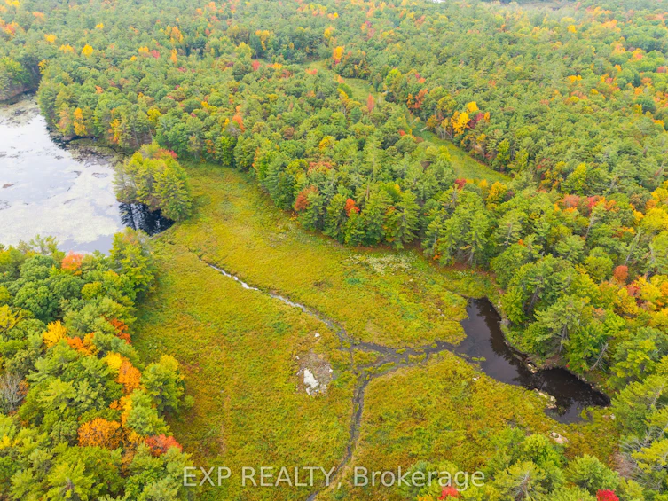 1144 A South Lake Morrison Road, Gravenhurst, ON, P0E 1G0 - 8