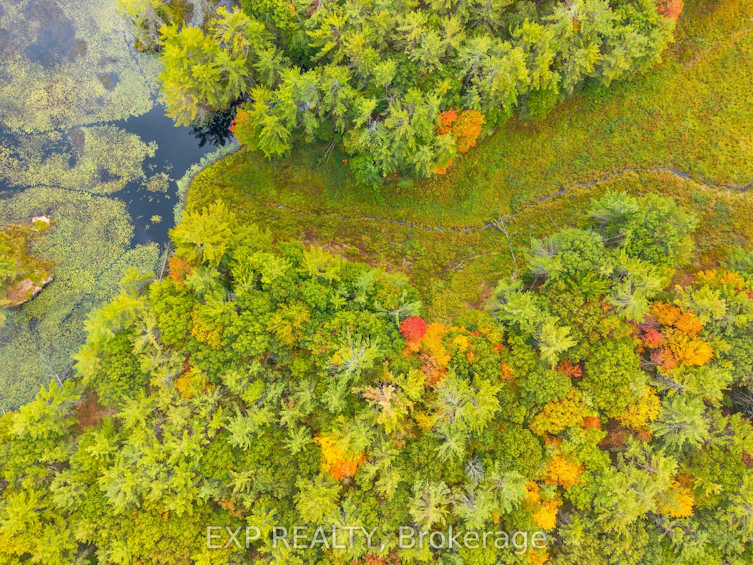 1144 A South Lake Morrison Road, Gravenhurst, ON, P0E 1G0 - 7