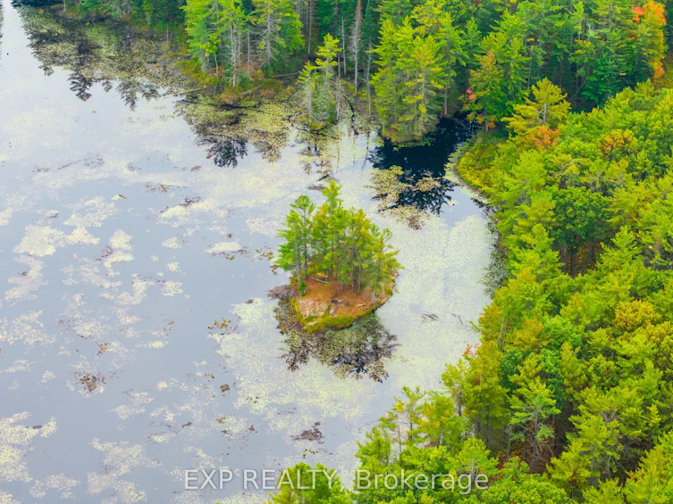 1144 A South Lake Morrison Road, Gravenhurst, ON, P0E 1G0 - 5
