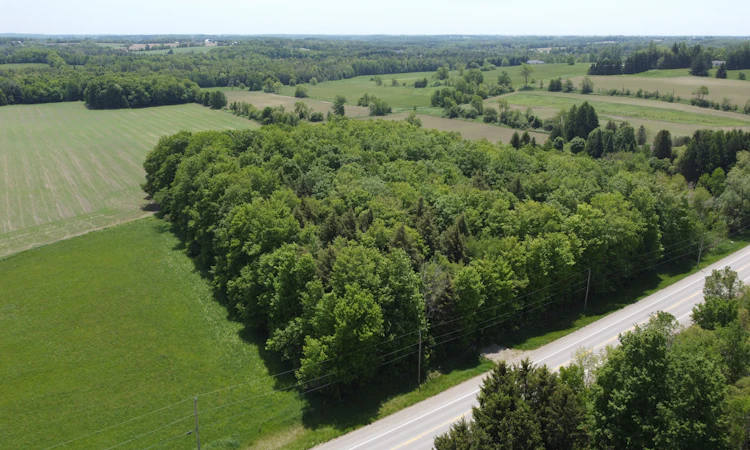 8949 Wellington Rd 22 Road