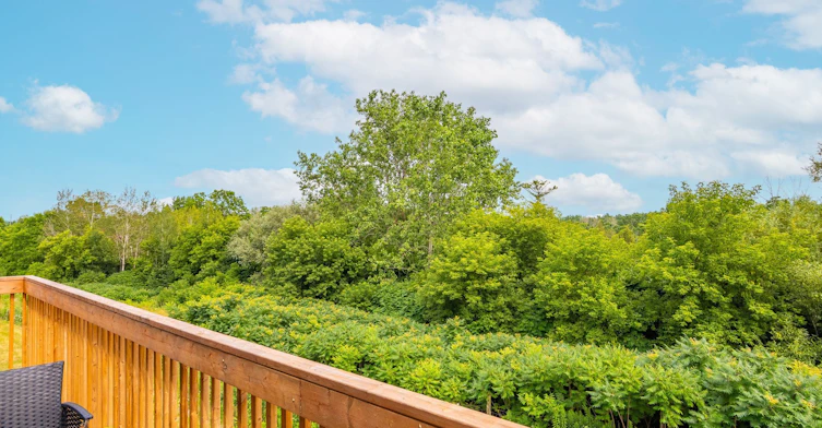 34 Mears Road, Brant, ON, N3L 0M6 - 46
