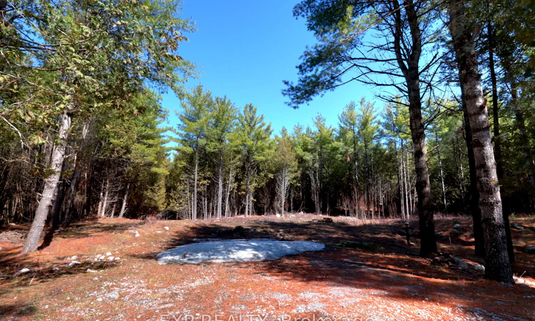 593 County 40 Road