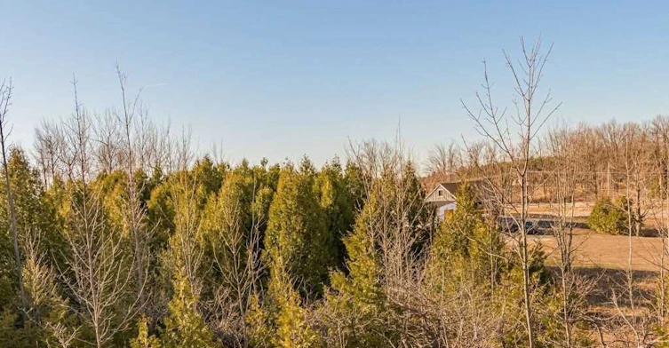 5135 Trafalgar Road, Erin, ON, N0B 1T0 - 21