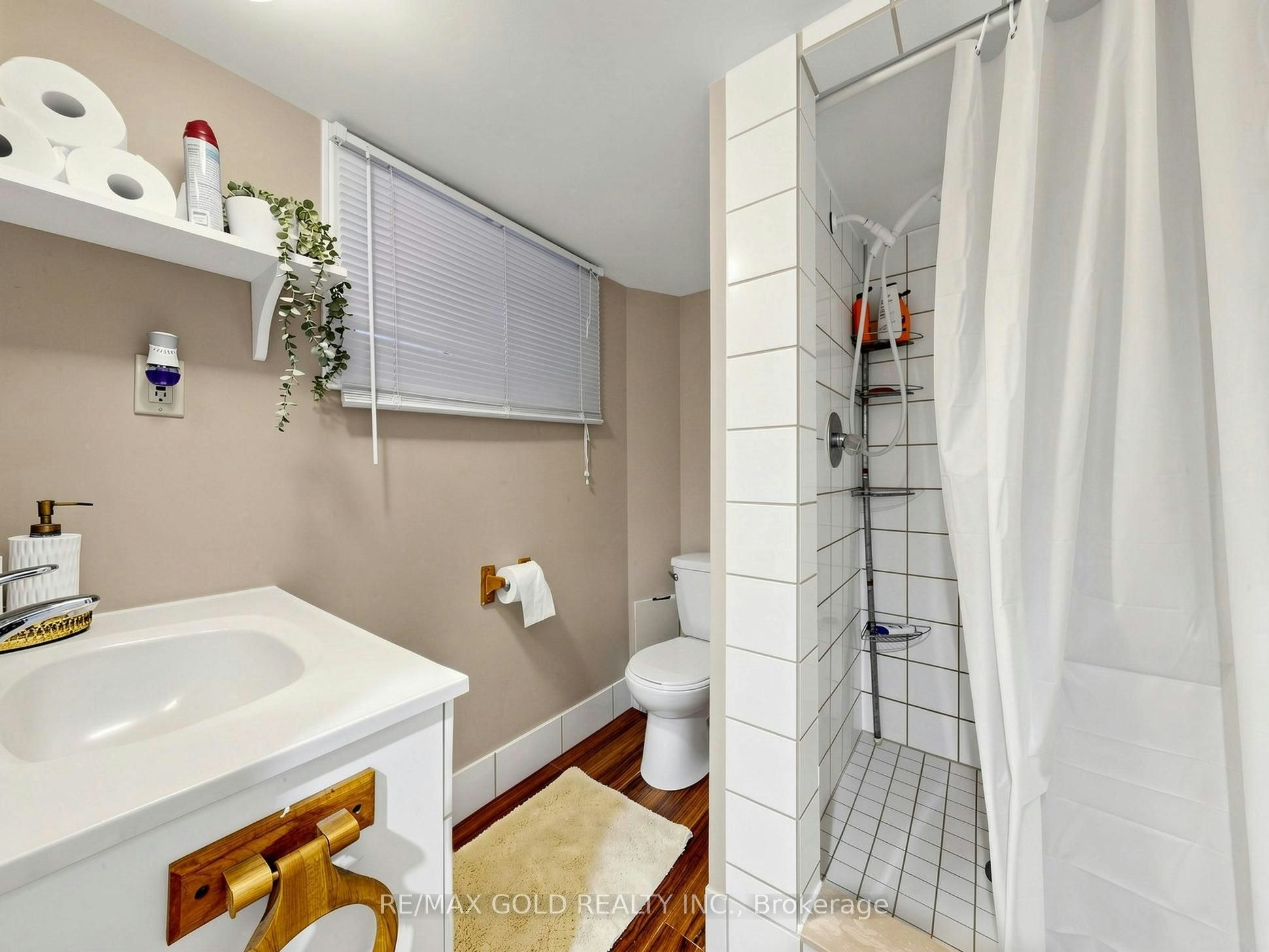bsmt-746 King Street W, Hamilton, ON, L8S 1J8 - 16