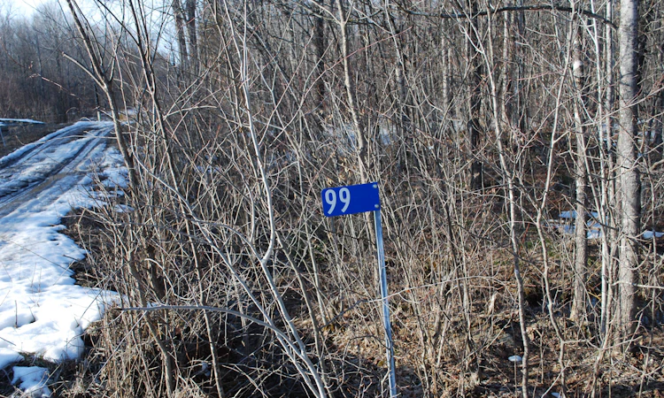 99 Future Lane