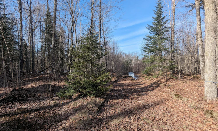 11146 Highway 118 N/A
