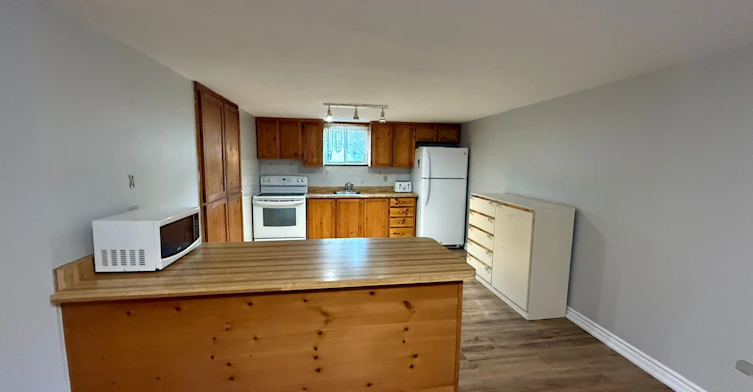 174 Colborne Street W, Kawartha Lakes, ON, K9V 6A1 - 5