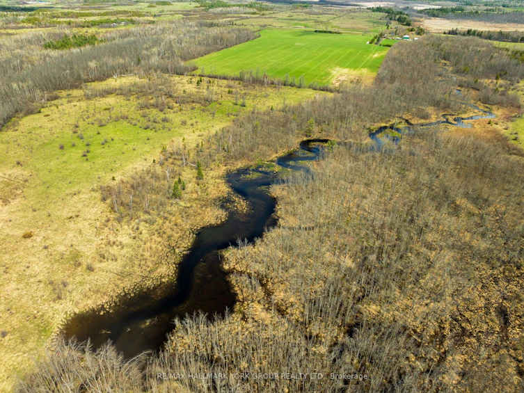 2468 County Road 46 N/A, Kawartha Lakes, ON, K0M 2T0 - 48