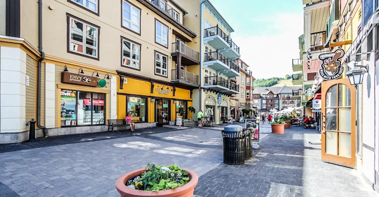 104 Kinsey Place, Blue Mountains, ON, L9Y 0R4 - 10