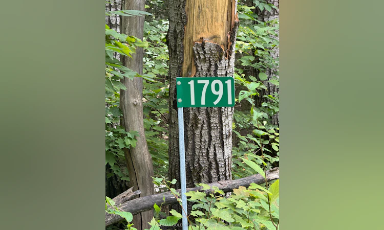 1791 Alsace Road