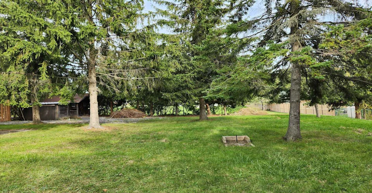 Basement-23 Singleton Street, Brighton, ON, K0K 1H0 - 10