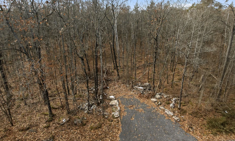 64 Maple Road