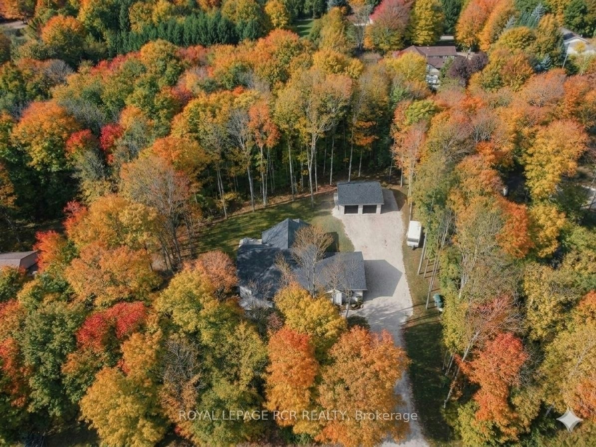 110 Beau Lane, Grey Highlands, ON, N0C 1E0