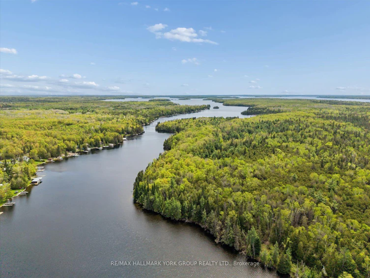 102 Albert Street, Kawartha Lakes, ON, K0M 1K0 - 50