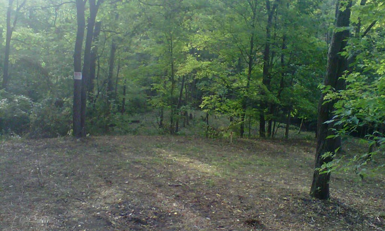 Pt Lt 4 Sulphur Spring Drive N/A