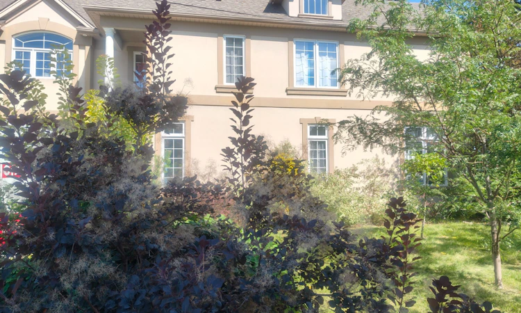 22 Ursula Avenue
